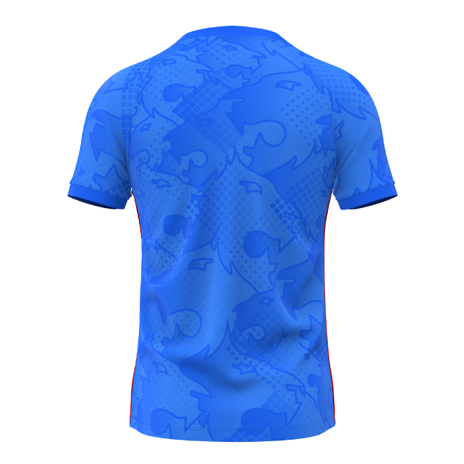 Holwhites-Trinibis CC RS Training T-Shirt - View 2